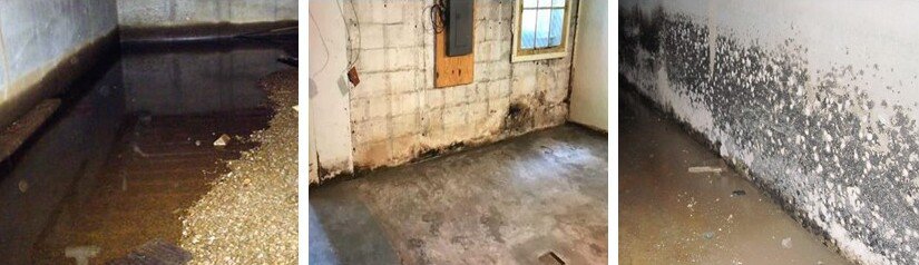 Musty and Moldy Smelling Basement Fix