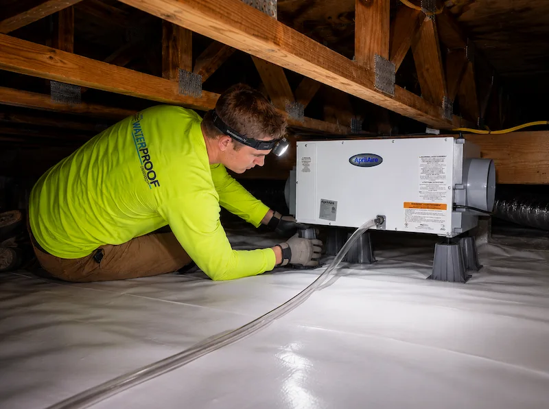Crawlspace