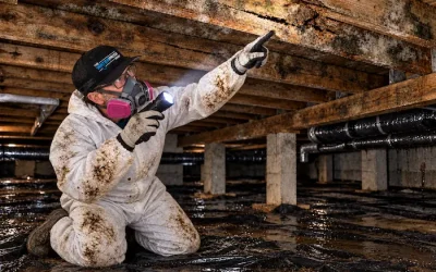 Can Crawl Space Moisture Cause Wood Rot and Structural Damage?